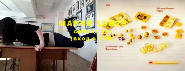 гашик Алзамай