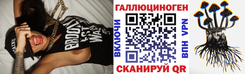 дарнет шоп  Избербаш  Псилоцибиновые грибы GOLDEN TEACHER 