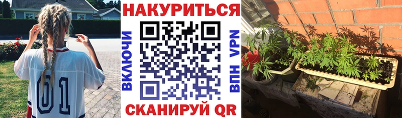 Конопля марихуана  Избербаш 